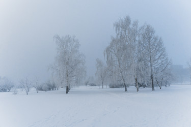 Similar image 21286297