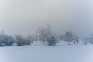 Similar image 21286298