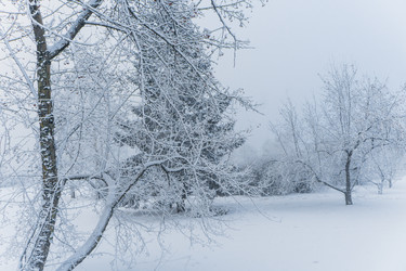 Similar image 21286299