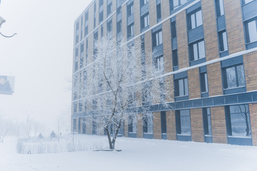 Similar image 21286300