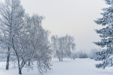 Similar image 21286301