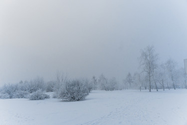 Similar image 21286305