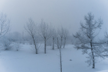 Similar image 21286306