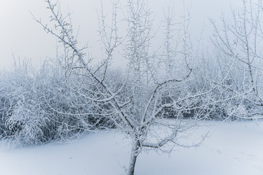 Similar image 21286308