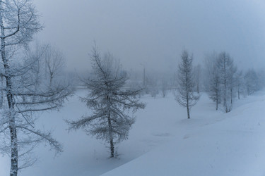 Similar image 21286309