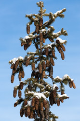 Similar image 21286494