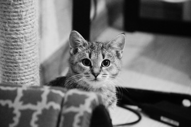 Similar image 21285311