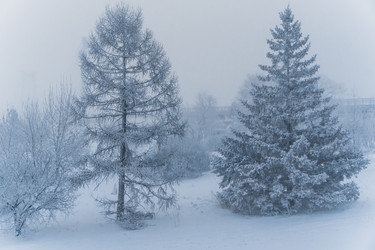 Similar image 21286317