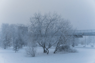 Similar image 21286318