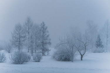 Similar image 21286319