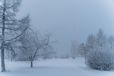 Similar image 21286323