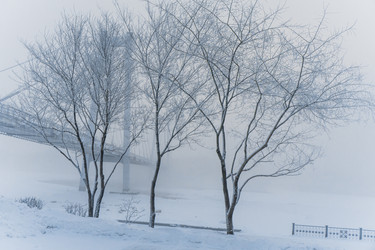 Similar image 21286328