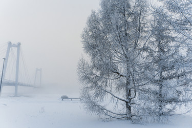 Similar image 21286337