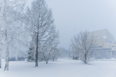 Similar image 21286338