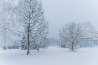 Similar image 21286339