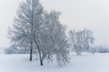 Similar image 21286341