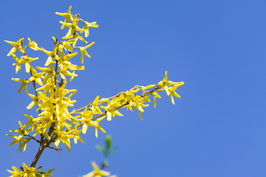 Similar image 21288907