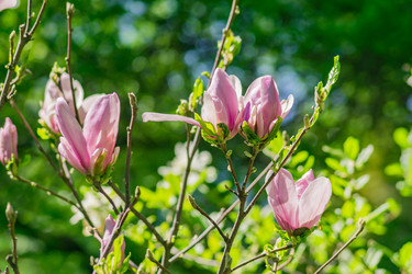 Similar image 21288910