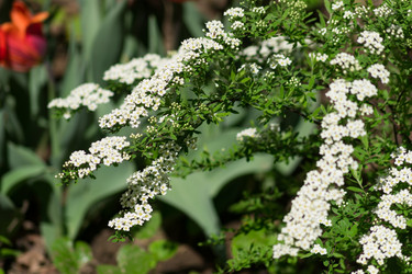 Similar image 21289996