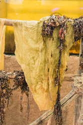 Similar image 21289997