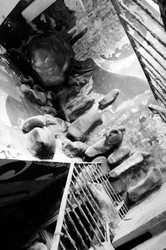 Similar image 21285325