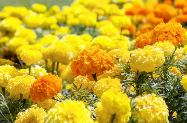 Similar image 21283247