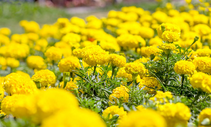 Similar image 21283248