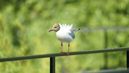 Similar image 21284090