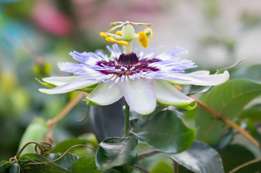 Similar image 21283108