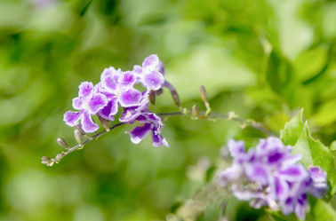 Similar image 21283109