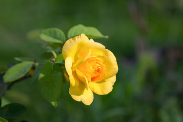 Similar image 21283110