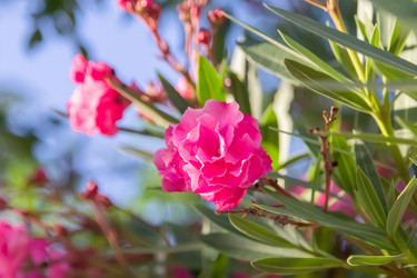 Similar image 21283112