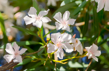 Similar image 21283114