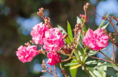 Similar image 21283115