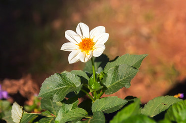 Similar image 21283116