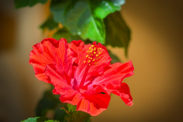 Similar image 21283117