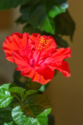 Similar image 21283118