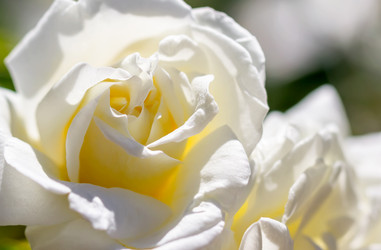 Similar image 21283120