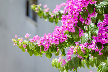 Similar image 21283121