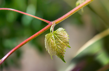 Similar image 21283122