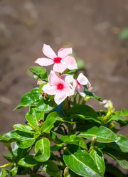 Similar image 21283124