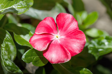 Similar image 21283125