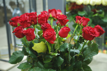 Similar image 21283585