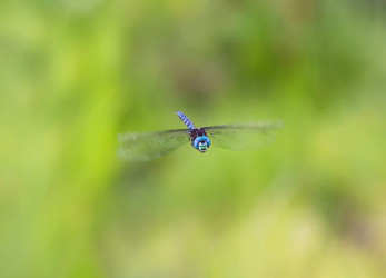 Similar image 21286502