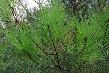 Similar image 21283673