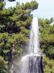 Similar image 21289903