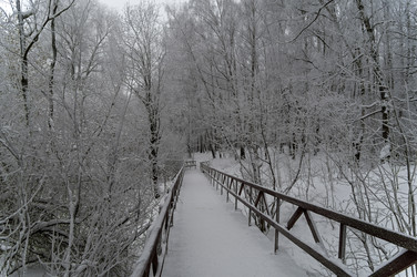 Similar image 21283861