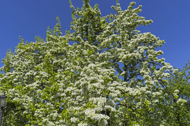 Similar image 21283864