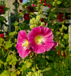 Similar image 21283865