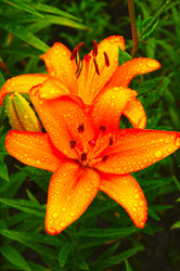 Similar image 21283866